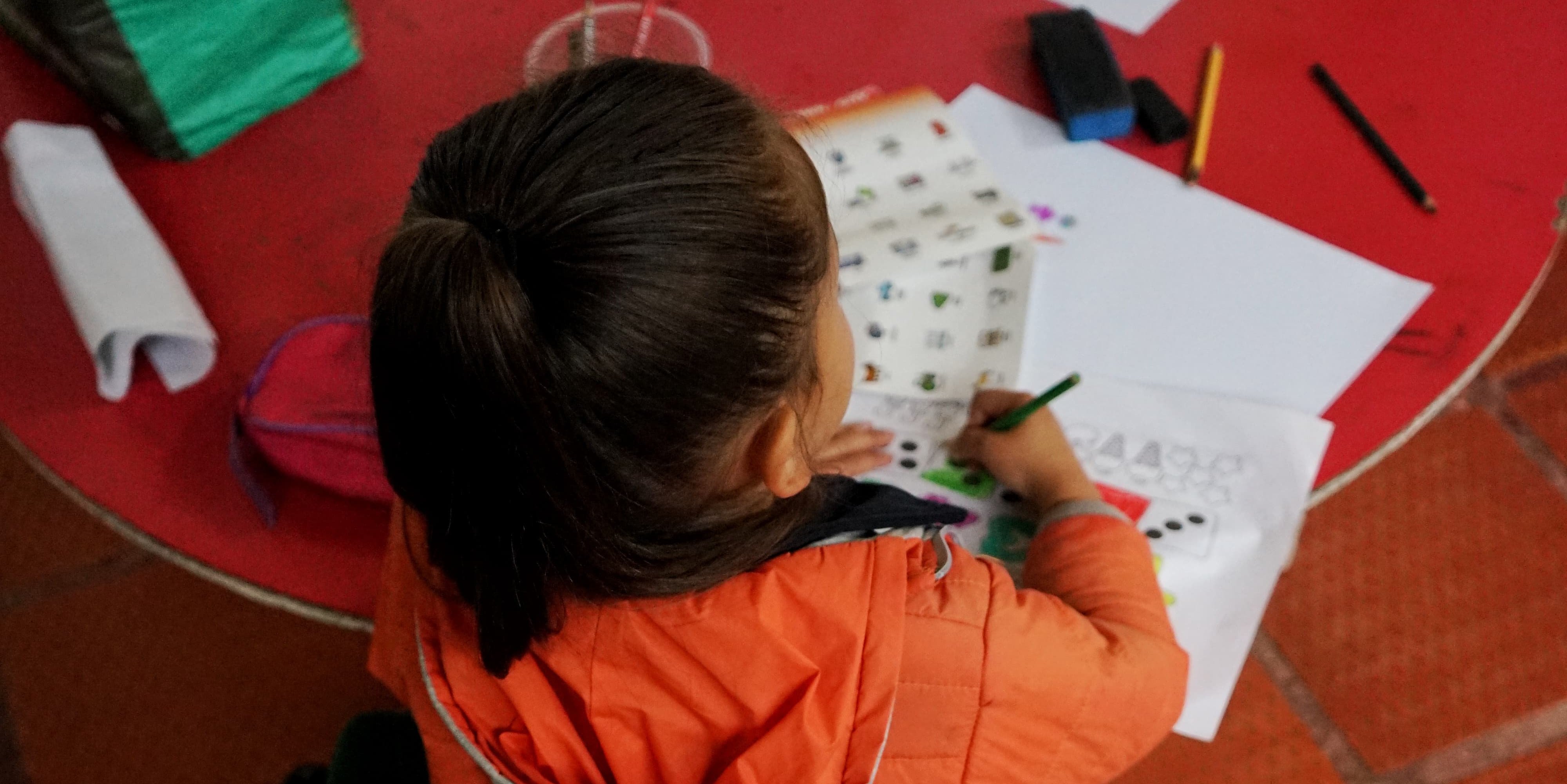 Cundinamarca abre el segundo concurso infantil de dibujo “En el Mundo Animal”

