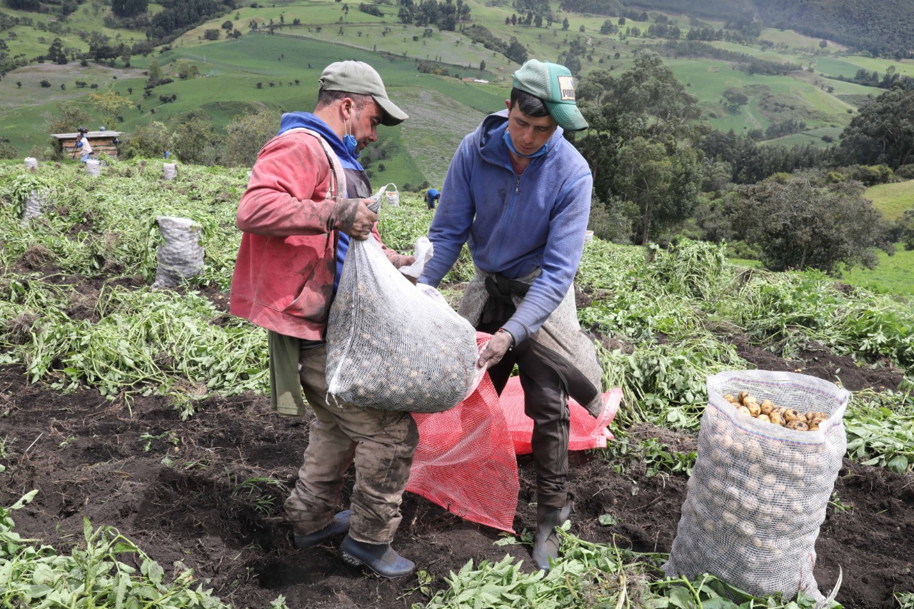 Seleccionadas 261 asociaciones y cooperativas de Cundinamarca para su reactivación




