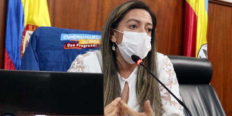 “Más Sostenibilidad”, quinta línea estratégica analizada por la Asamblea Departamental


