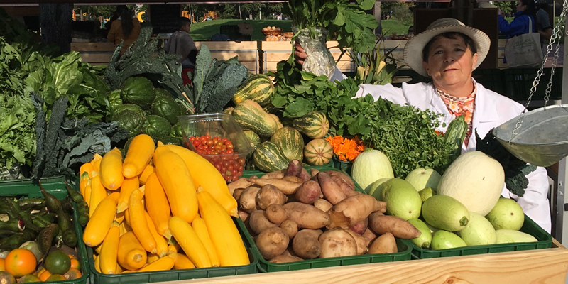 Este fin de semana, Mercados Campesinos en Fusagasugá y Guaduas