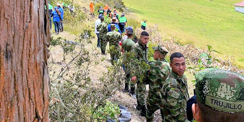 Reforestadas áreas del cerro Montecillo de Guatavita 
