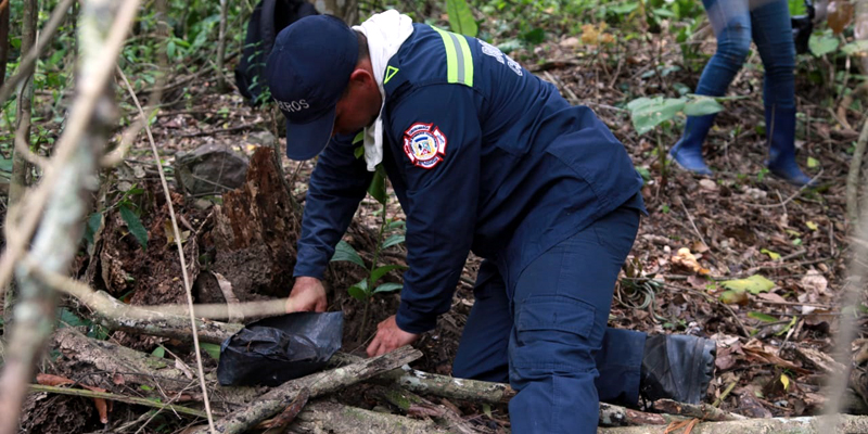 En San Antonio de Tequendama se sembraron 570 árboles nativos

