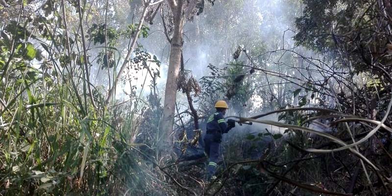 Ideam emitió alerta roja y naranja ante probabilidad de incendios forestales en 65 municipios de Cundinamarca