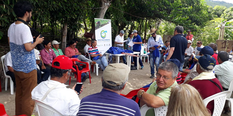 Cundinamarca innova en cultivos de mango, naranja y mandarina