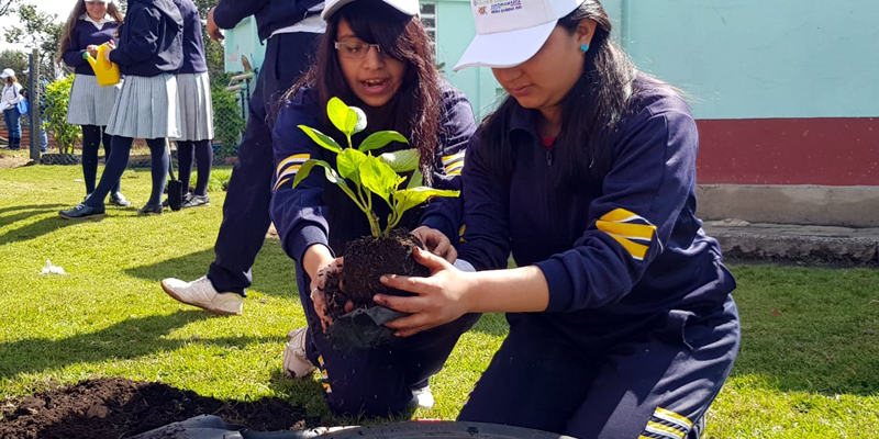 Estudiantes de El Rosal, comprometidos con mitigar los efectos del cambio climático








