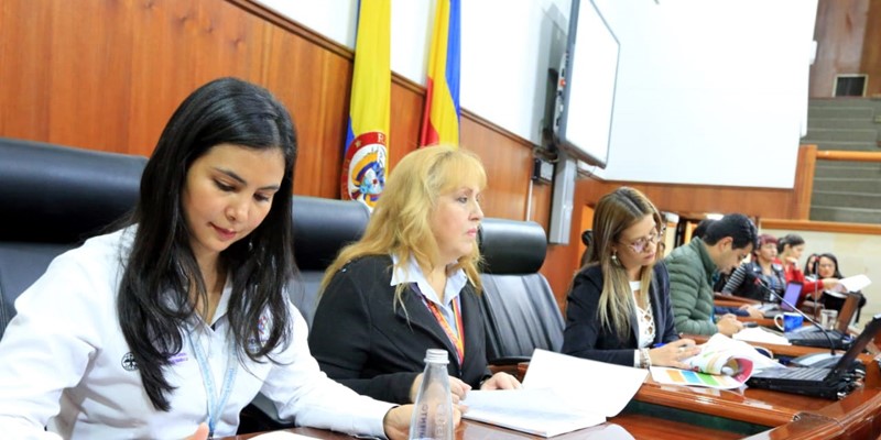 Política de Mujer y Equidad de Género fue presentada ante la Duma departamental 


