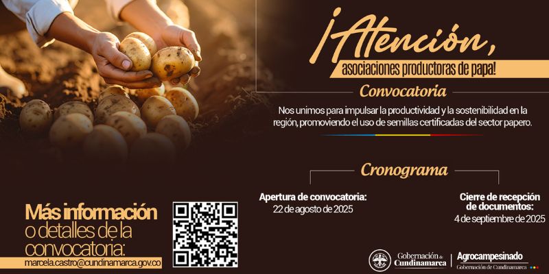 Cundinamarca abre convocatoria para asociaciones paperas: insumos, semilla certificada y asistencia técnica
