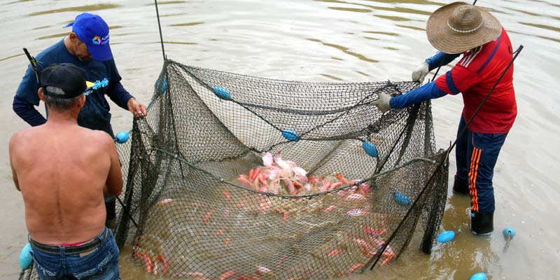 Buenas prácticas en la actividad pesquera artesanal, estrategia de conservación del ecosistema































































