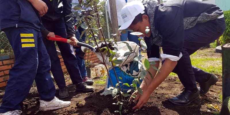 Estudiantes de El Rosal, comprometidos con mitigar los efectos del cambio climático








