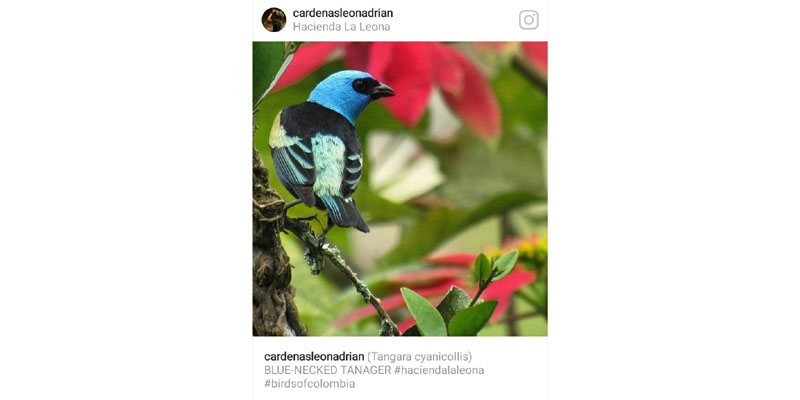 Que el tráfico ilegal de especies no sea el protagonista de esta época 
























