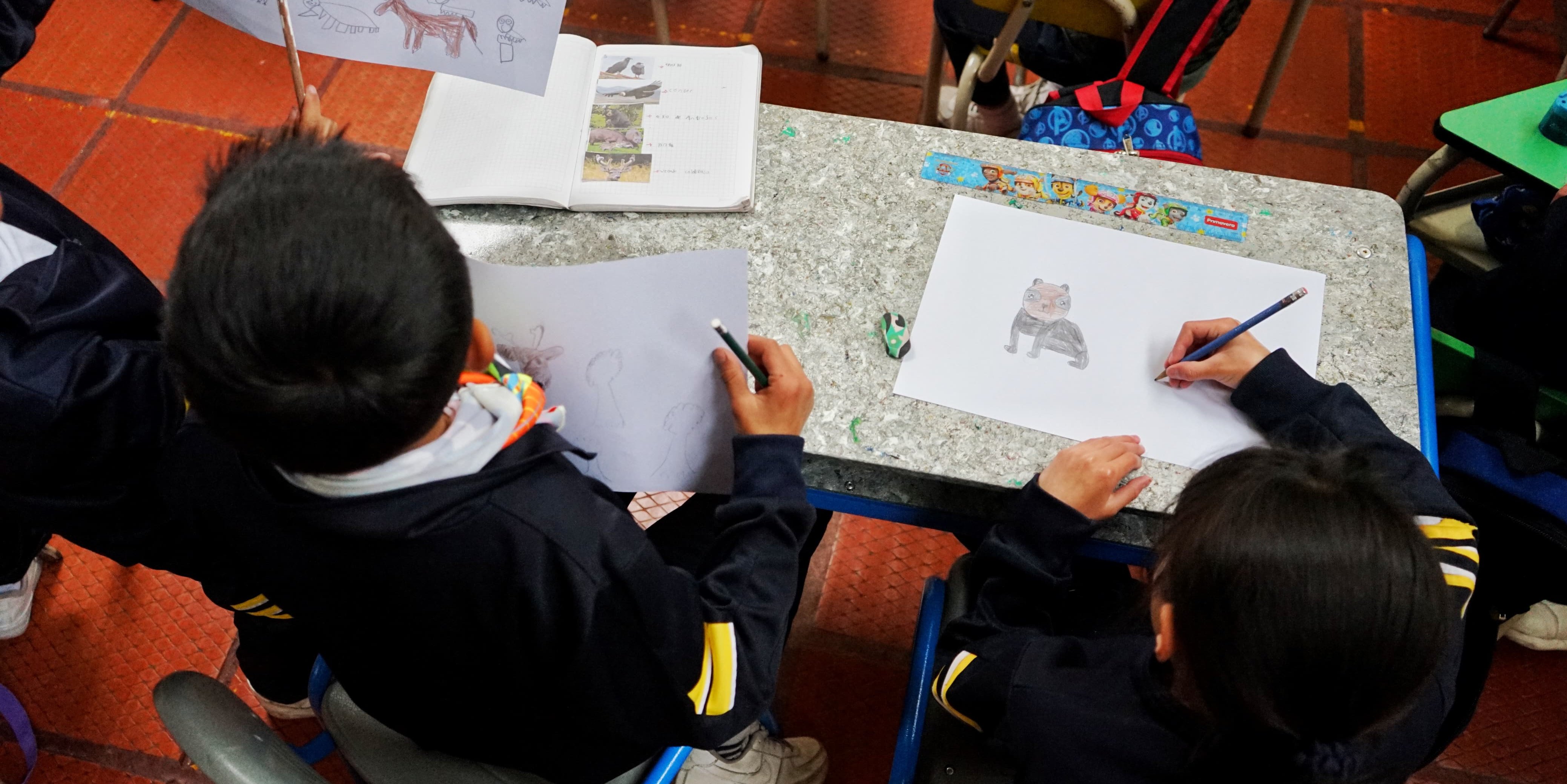 Cundinamarca abre el segundo concurso infantil de dibujo “En el Mundo Animal”
