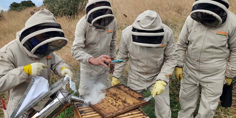 Avanza con éxito el programa Abejas con la Conservación en Villapinzón, Zipaquirá y Gutiérrez







