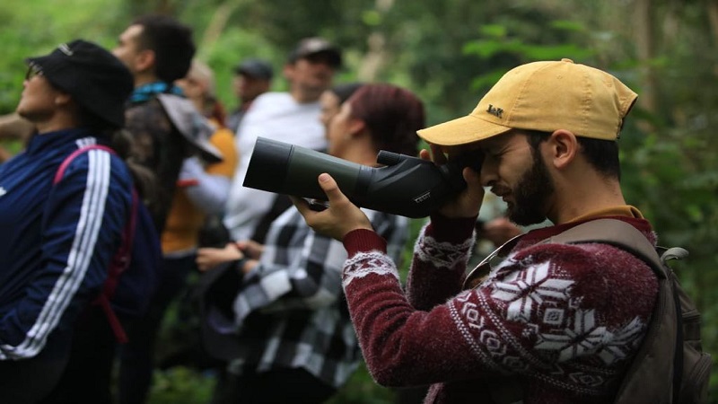 Cundinamarca, noveno lugar en el Global Big Day, con 967 especies de aves







