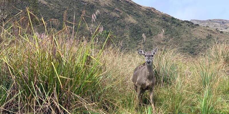 En la semana de receso, mi destino es Cundinamarca
