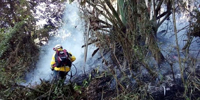 Uaegrd reitera invitación a prevenir incendios forestales
