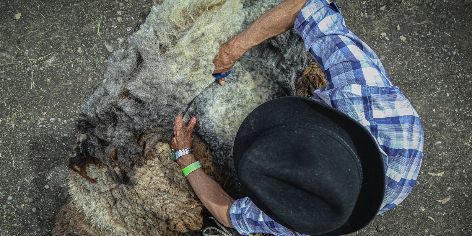 Tejilarte 2024: el arte y los sabores de Cundinamarca brillaron en Sutatausa
