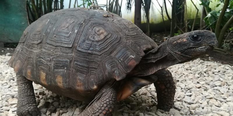 Llamado a cuidar los ecosistemas durante la Semana Santa

