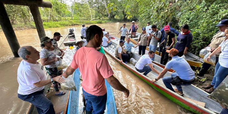Más de 300.000 peces repueblan el río Magdalena