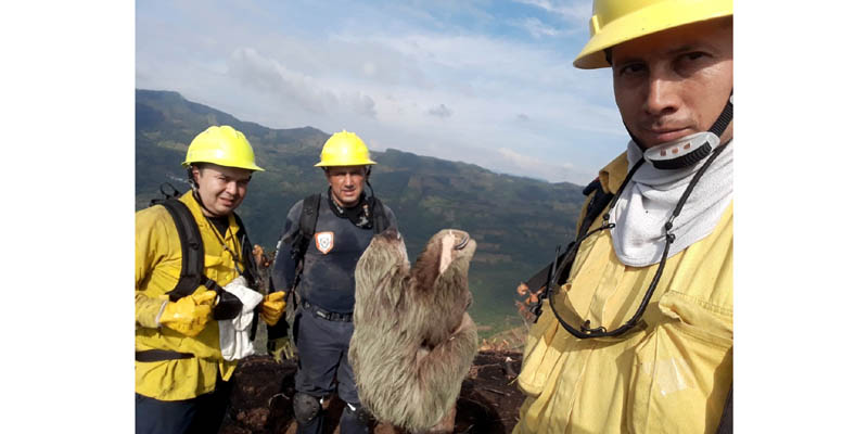 Continúa atención de incendios forestales en Cundinamarca