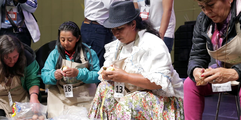 El gran desafío de pelar papas e hilar lana se vivió en ExpoCundinamarca