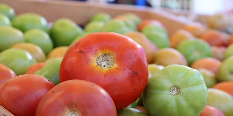 Quien lo siembra es quien lo vende, regresan los Mercados Campesinos a Cundinamarca
