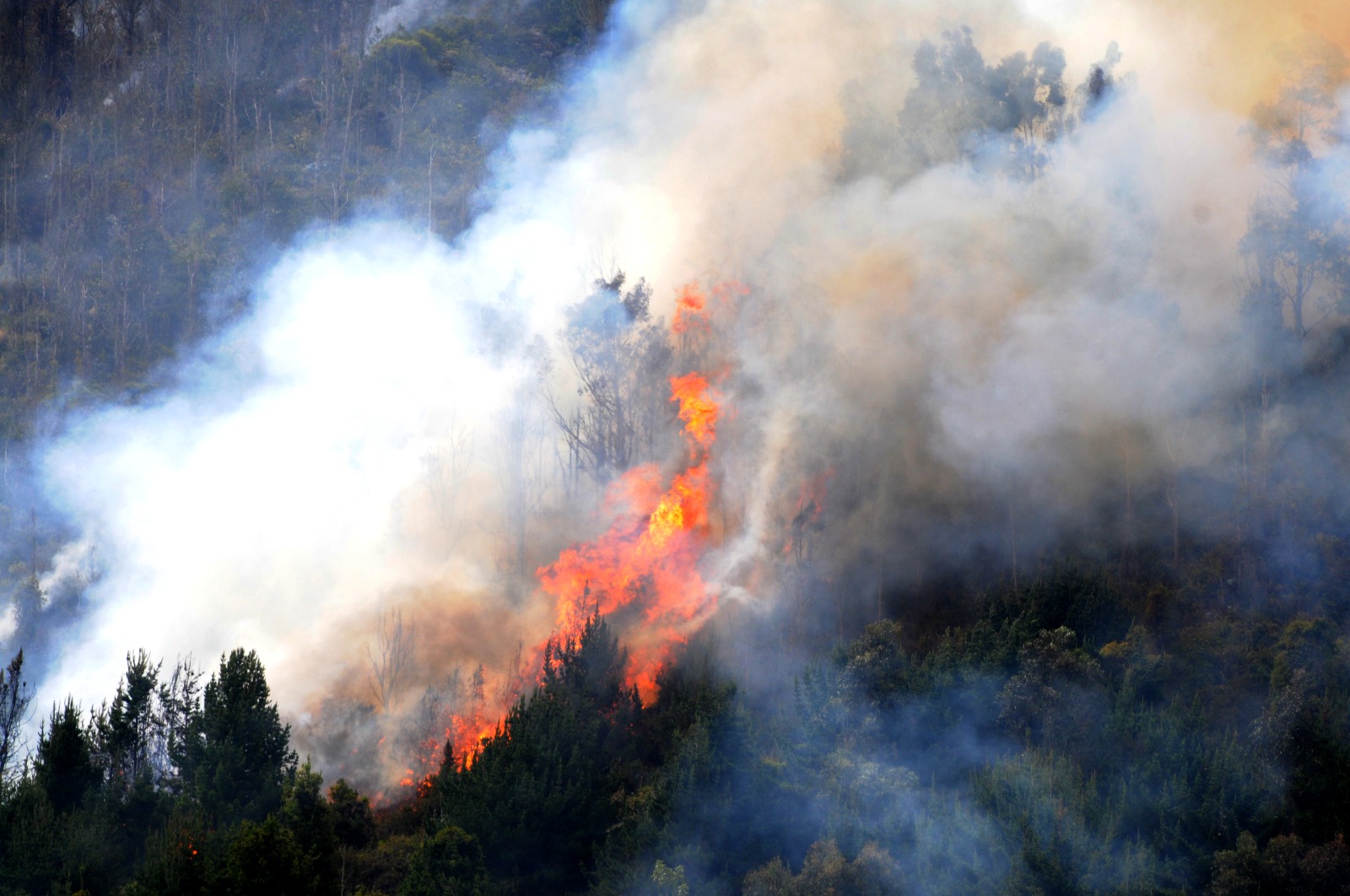 Gobierno cundinamarqués atiende emergencias causadas por incendios forestales

