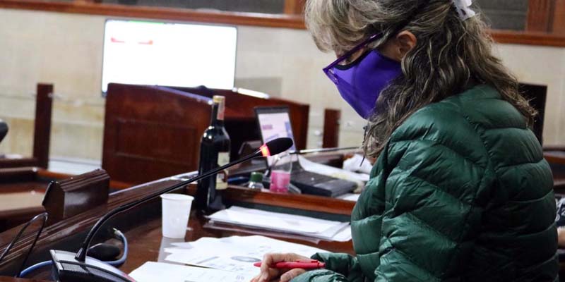 Asamblea cundinamarquesa inició estudio de la línea estratégica “Más Gobernanza” del Plan de desarrollo departamental


