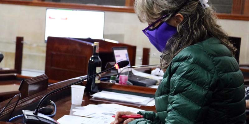 Asamblea cundinamarquesa inició estudio de la línea estratégica “Más Gobernanza” del Plan de desarrollo departamental