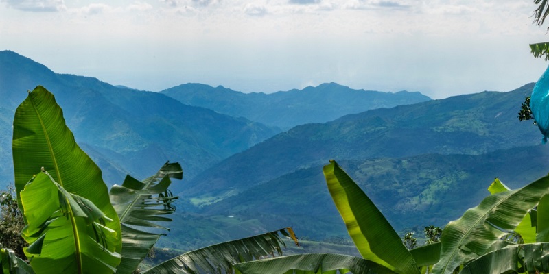 Cundinamarca asumió la Secretaría Técnica Regional de Cambio Climático





