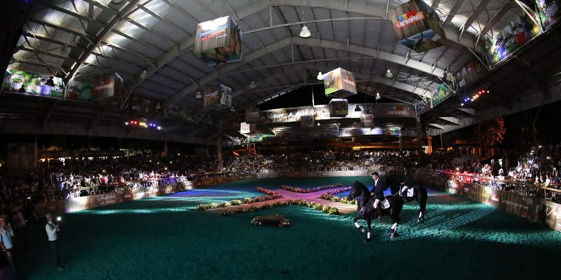 A todo galope en la Gran Feria Equina y Ganadera de ExpoCundinamarca 2022  


