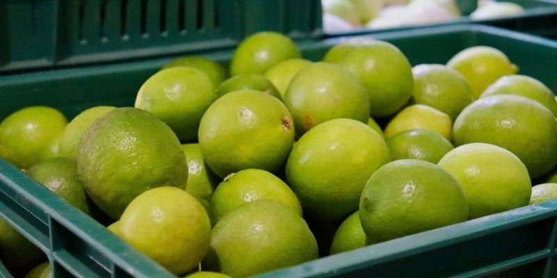 Más de 7.000 niños y niñas reciben alimentos frescos de campesinos cundinamarqueses a través del PAE