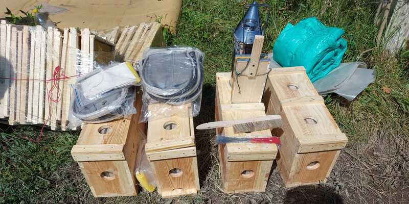 Gobierno departamental fortalece proyecto ‘Abejas con la conservación’