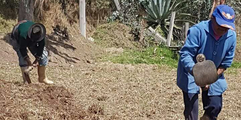 Pequeños productores rurales del Sumapaz podrán conformar agroredes campesinas




