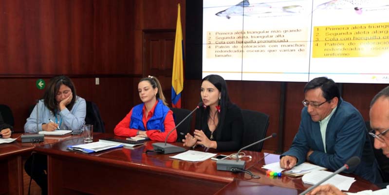 Alerta en Cundinamarca por comercialización y consumo del Pez Mota