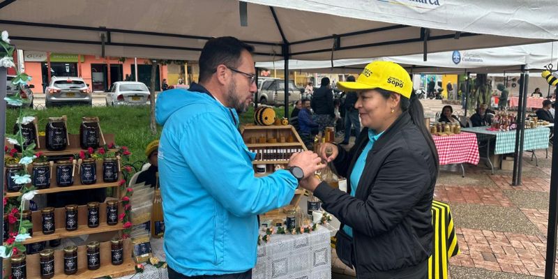 Cundinamarca celebra el zumbido que alimenta al mundo en el Día Mundial de las Abejas
