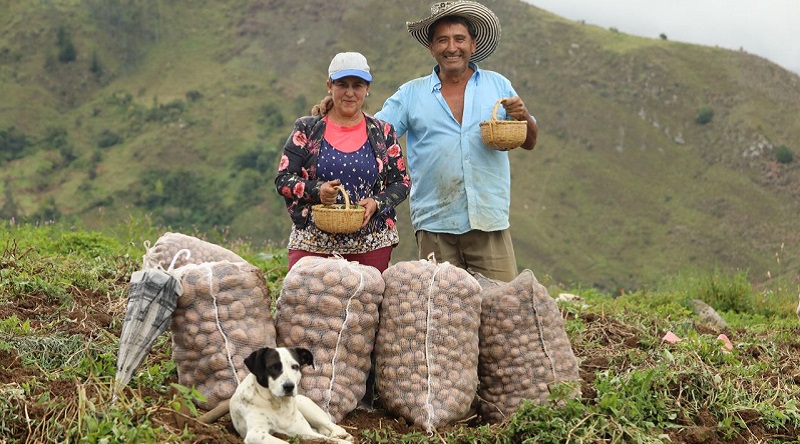 Gobernador anuncia la inversión inicial de $20 mil millones en el lanzamiento del programa “Compramos tu cosecha”