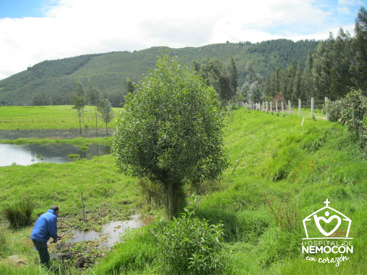 ‘Hospital verde’ de Nemocón se destaca en el mundo por cuidado del medio ambiente


















