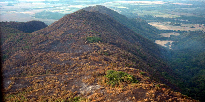 Controlado en 99% incendio forestal que llevaba tres días activo en Girardot





