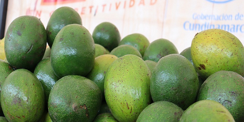 Quien lo siembra es quien lo vende, regresan los Mercados Campesinos a Cundinamarca
