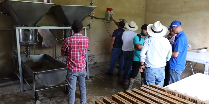 Paneleros cundinamarqueses con hornilla innovadora creada por Agrosavia 
