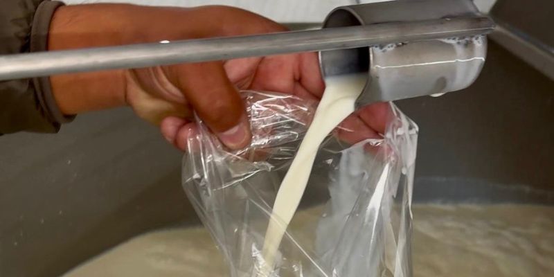 Gobernación de Cundinamarca impulsa la compra de leche a productores locales afectados por la crisis de precios