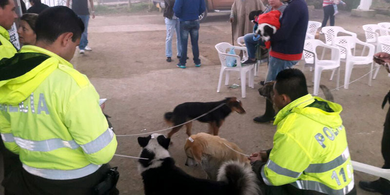 La campaña "Cundinamarca protege tu animal de compañía" llegó a La Vega
















