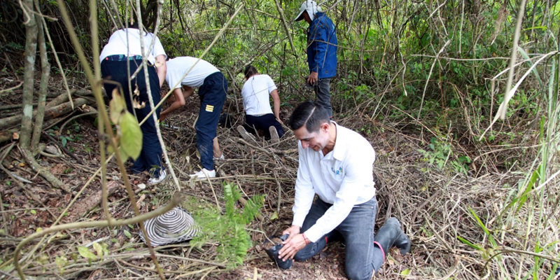 En San Antonio de Tequendama se sembraron 570 árboles nativos

