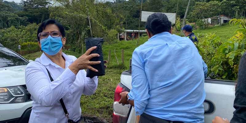 2.200 árboles sembrados por la secretaría TIC en cinco municipios