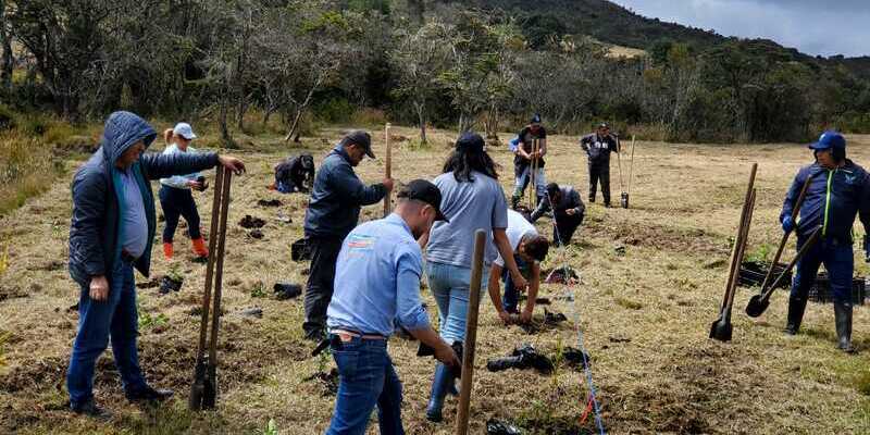 ‘Recicla con TIC’ logró la siembra de 6.000 árboles en Cundinamarca durante este cuatrienio