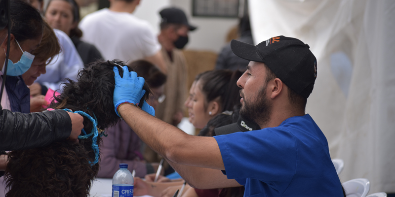 El IPYBAC, primer instituto de bienestar animal departamental en Colombia
