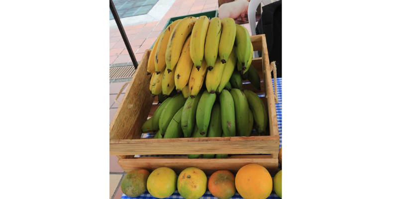 Mercados campesinos en Bogotá este fin de semana





 









