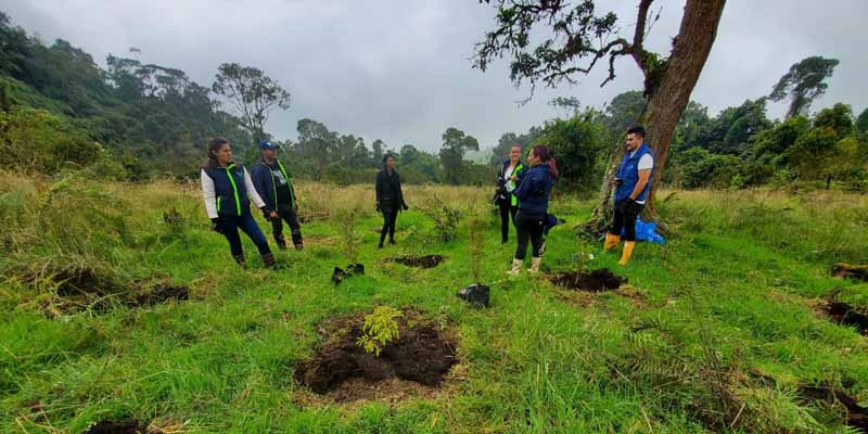 La Secretaria TIC sembró 1.000 árboles en Fusagasugá









