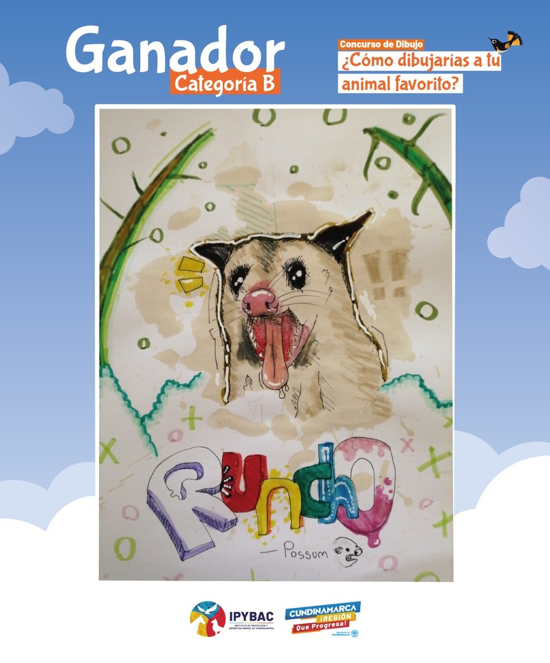 IPYBAC anuncia finalistas del concurso de dibujo "¡Mi animal favorito!"
