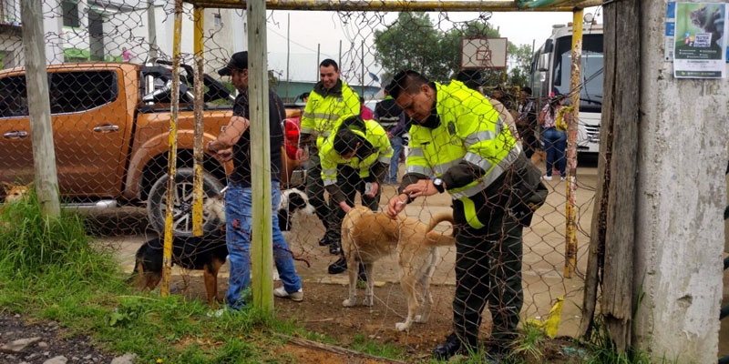 La campaña "Cundinamarca protege tu animal de compañía" llegó a La Vega
















